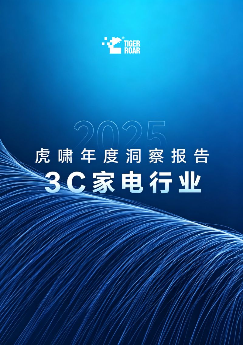 2025虎啸年度洞察报告——3C家电行业