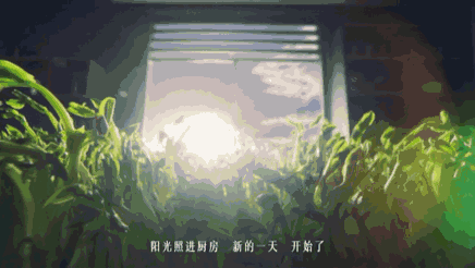 3.gif 3.gif