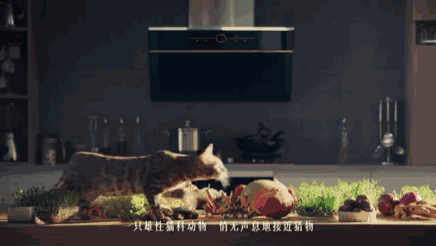 4.gif 4.gif